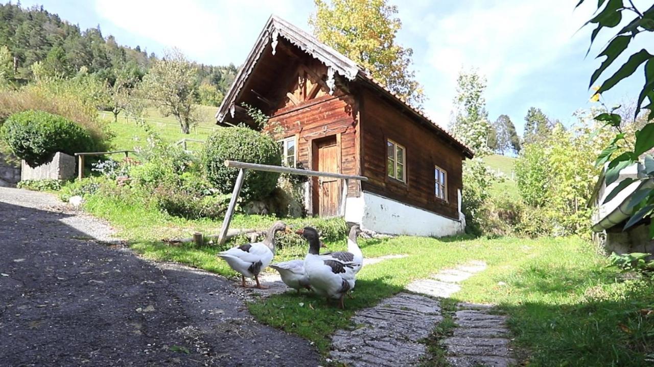 Haus Holler Apartman Wallgau Kültér fotó